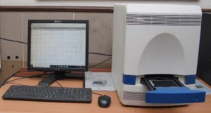 Real-Time PCR System